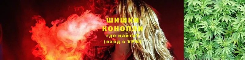 Шишки марихуана планчик  omg tor  сайты даркнета формула  Мурманск 